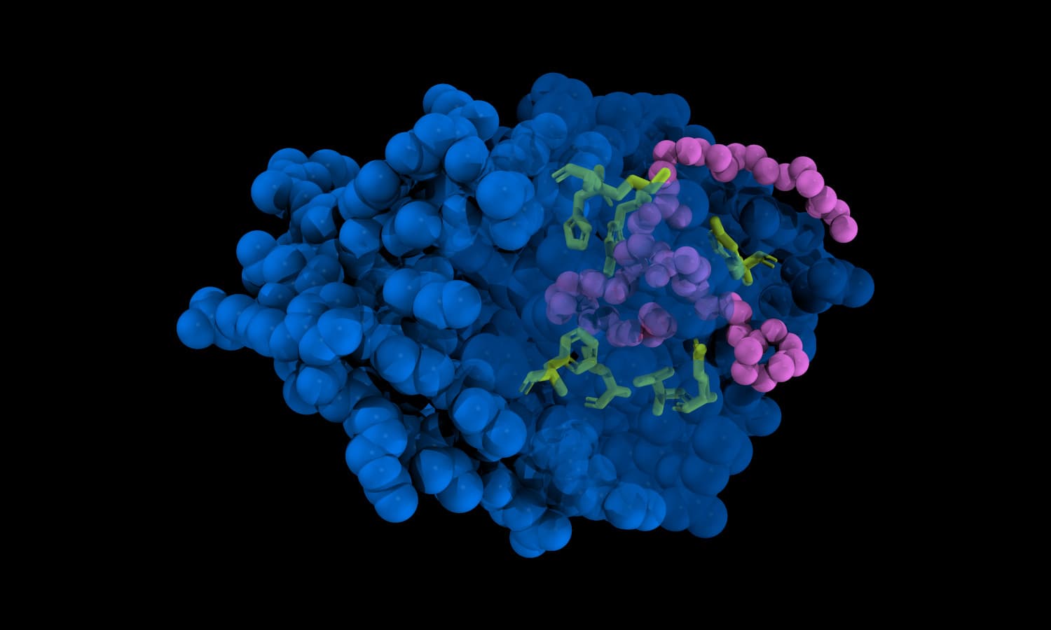ISR-BIO laboratory environment