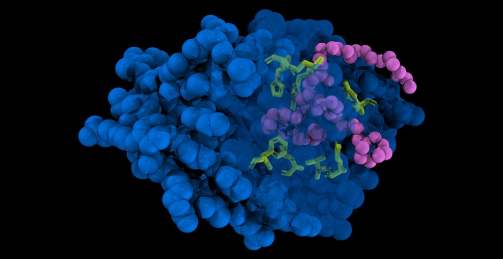 AI-Powered Drug Discovery System