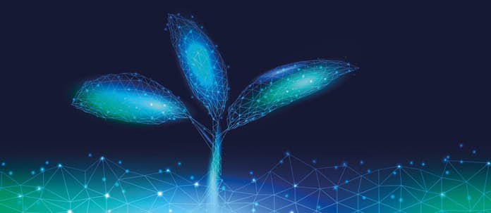 Visual de planta digital con redes de datos para innovación en aditivos fitogénicos