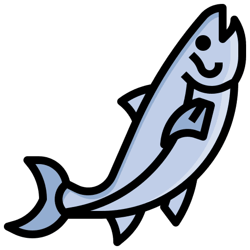 Salmon validation context